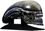Xenomorph Life-Size Head (Prototype Shown) View 14