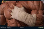 Sagat