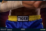Sagat