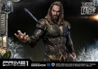 Aquaman Collector Edition (Prototype Shown) View 28