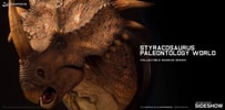 Styracosaurus Exclusive Edition (Prototype Shown) View 7