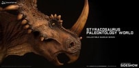 Styracosaurus Exclusive Edition (Prototype Shown) View 8