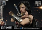 Wonder Woman (Prototype Shown) View 22