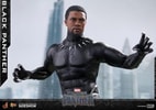 Black Panther (Prototype Shown) View 6