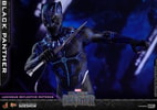 Black Panther (Prototype Shown) View 20