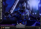 Black Panther (Prototype Shown) View 21