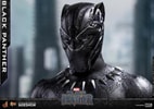 Black Panther (Prototype Shown) View 27