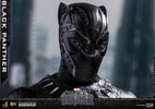 Black Panther (Prototype Shown) View 28