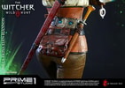 Ciri of Cintra Collector Edition (Prototype Shown) View 28