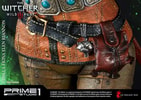 Ciri of Cintra Collector Edition (Prototype Shown) View 30
