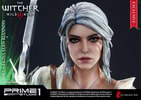 Ciri of Cintra Exclusive Edition (Prototype Shown) View 4
