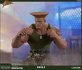 Guile Collector Edition (Prototype Shown) View 3