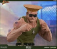 Guile Ultimate View 13
