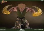 Guile Ultimate View 7