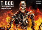 T-800 Endoskeleton The Terminator
