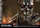 T-800 Endoskeleton The Terminator
