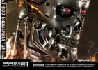 T-800 Endoskeleton The Terminator