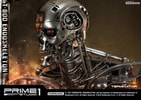 T-800 Endoskeleton The Terminator