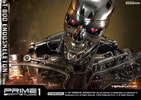 T-800 Endoskeleton The Terminator