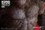 Kong Deluxe (Prototype Shown) View 6