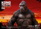 Kong Deluxe (Prototype Shown) View 9