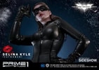 Selina Kyle Catwoman Collector Edition (Prototype Shown) View 25