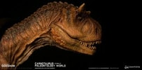Carnotaurus Female (Prototype Shown) View 8