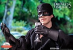 Westley aka The Dread Pirate Roberts- Prototype Shown