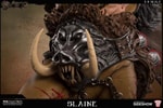 Slaine Collector Edition (Prototype Shown) View 14