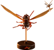 Ant-Man on Flying Ant and the Wasp- Prototype Shown