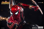 Iron Spider-Man (Prototype Shown) View 21
