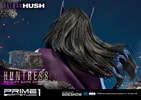 Huntress Sculpt Cape Edition Exclusive Edition (Prototype Shown) View 2