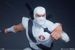Storm Shadow Collector Edition View 17