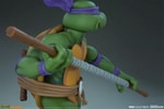 Donatello (Prototype Shown) View 14
