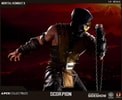 Scorpion Collector Edition View 12