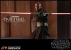 Darth Maul Collector Edition (Prototype Shown) View 13