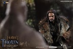 Thorin Oakenshield (Prototype Shown) View 8