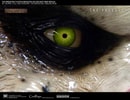 Fugitive Predator (Prototype Shown) View 13