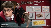 Harry Potter and Dobby Twin Pack (Prototype Shown) View 1