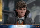 Newt Scamander Collector Edition (Prototype Shown) View 17