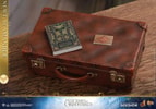 Newt Scamander Collector Edition (Prototype Shown) View 18