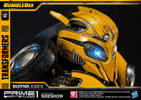 Bumblebee Collector Edition (Prototype Shown) View 12