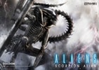 Scorpion Alien (Prototype Shown) View 3