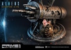 Scorpion Alien (Prototype Shown) View 25