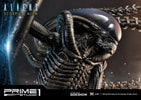 Scorpion Alien (Prototype Shown) View 26