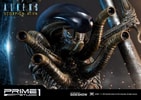 Scorpion Alien (Prototype Shown) View 29