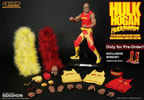 Hulk Hogan Hulkamania (Prototype Shown) View 13