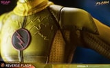 Reverse Flash (Prototype Shown) View 8