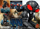 Black Manta Exclusive Edition (Prototype Shown) View 19