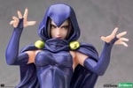 Raven (Prototype Shown) View 5